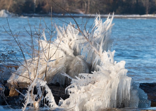 Ice Formation